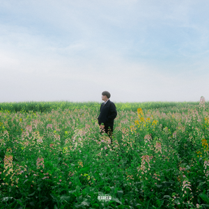 欧美 裸体沙滩 熟妇高潮
