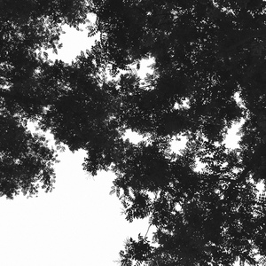 欧美 裸体沙滩 熟妇高潮
