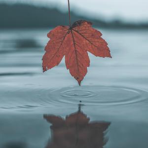 欧美 裸体沙滩 熟妇高潮
