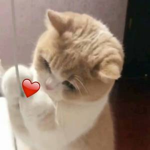 欧美 裸体沙滩 熟妇高潮
