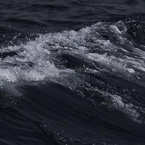 欧美 裸体沙滩 熟妇高潮
